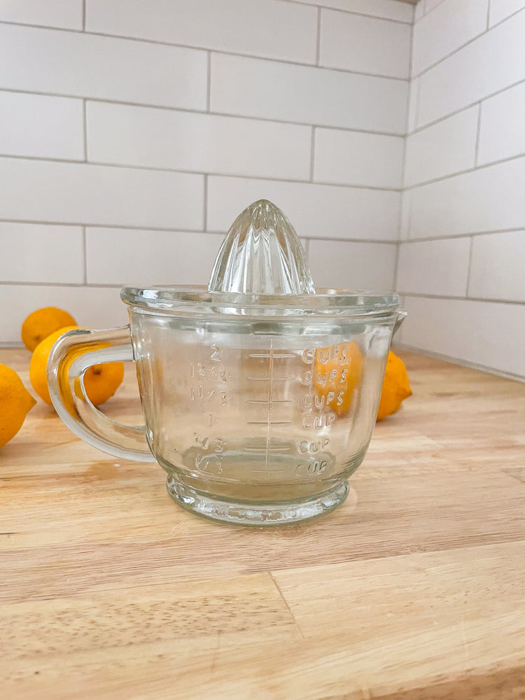 Glass Fruit Juicer